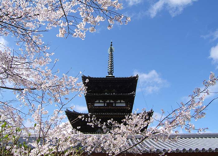 ◎奈良時代建築の至宝「薬師寺・東塔」① | 奈良県の観光情報まとめ